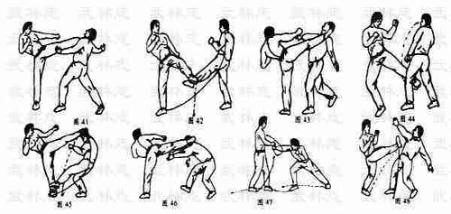 散打技巧,散打技巧解析,散打技巧图片
