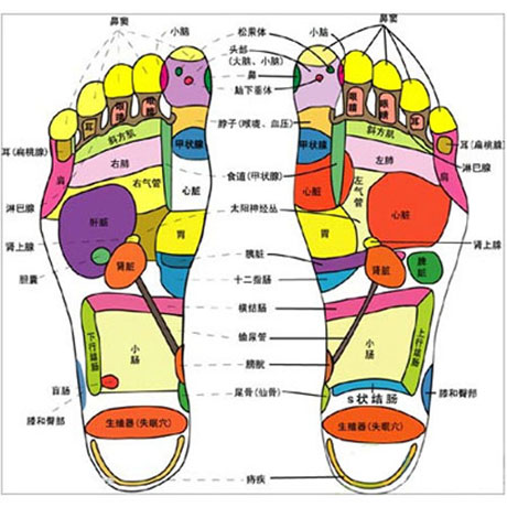 足疗按摩穴位图