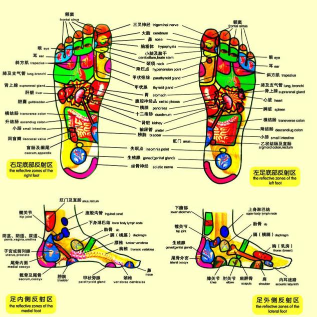 足疗的足疗穴位图