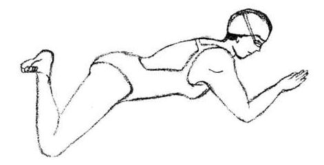 游泳技巧 游泳姿势 游泳基本技巧 游泳图解 - 雅