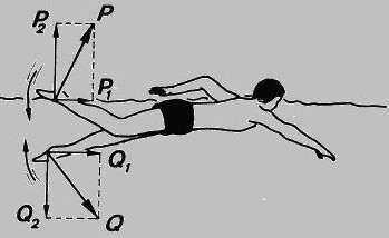 50_130726154452_1.jpg